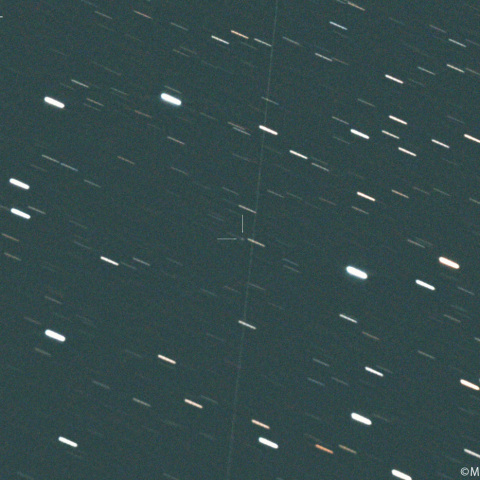 ヒル彗星 ( 496P ):2025/02/27