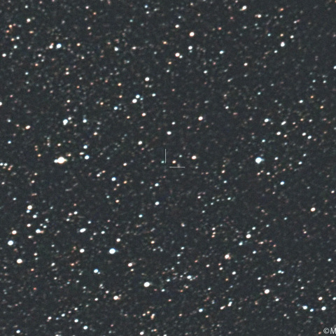 明け方のオルバース彗星 (13P):2025/03/01