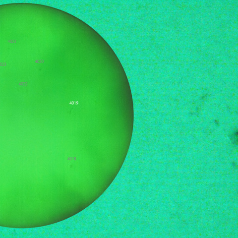 活動領域 4019：2025/03/15