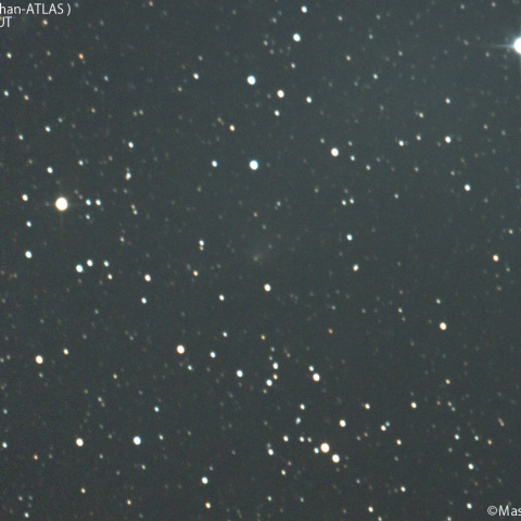 明け方の紫金山-アトラス彗星：2025/03/01