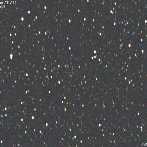 明け方の紫金山-アトラス彗星：2025/03/21