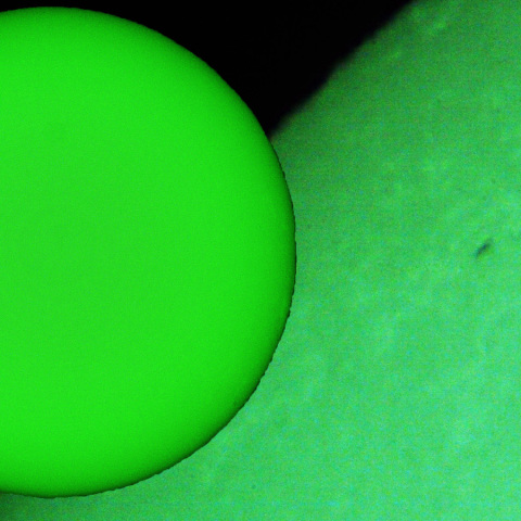 活動領域 4043：2025/03/26