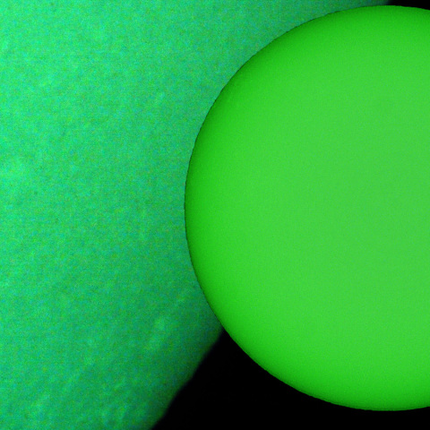 活動領域 4036：2025/03/25