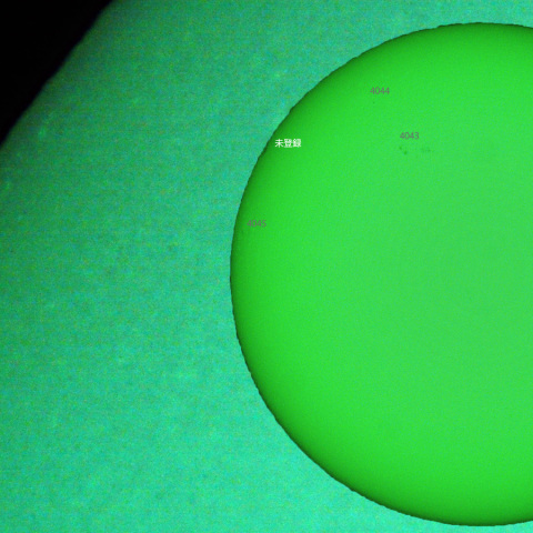 活動領域 4046：2025/03/28