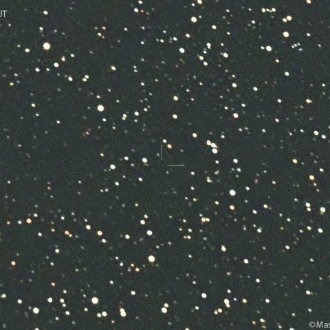 ヒル彗星 ( 195P ):2025/03/22