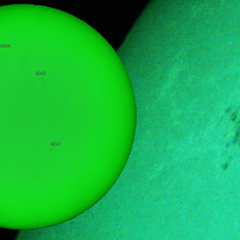 活動領域 4046：2025/03/30