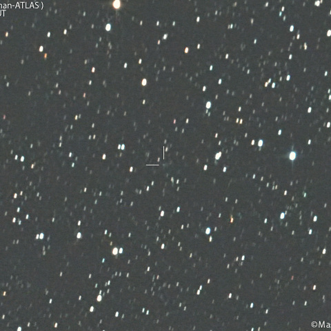 紫金山-アトラス彗星( C/2023A3 )：2025/04/05