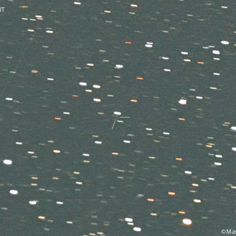 ヒル彗星 ( 496P ):2025/04/04