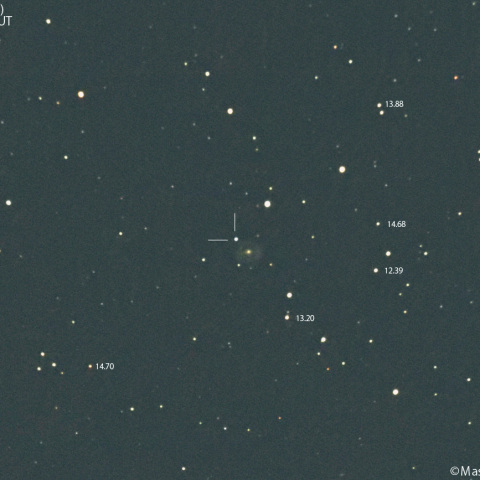 NGC5957に出現した超新星2025fvw：2025/04/08