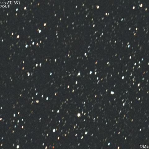 紫金山-アトラス彗星( C/2023A3 )：2025/04/08
