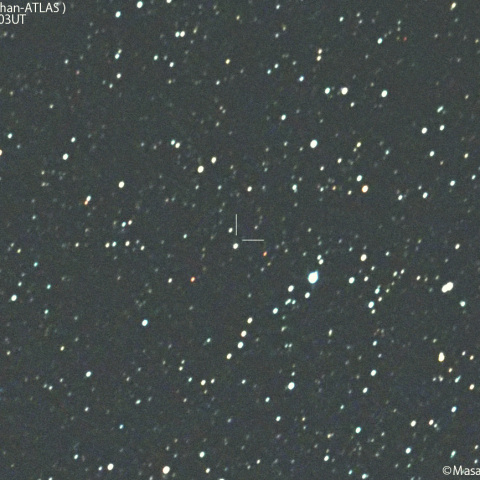 紫金山-アトラス彗星( C/2023A3 )：2025/04/17