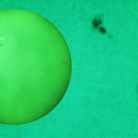 活動領域 4087：2025/05/17