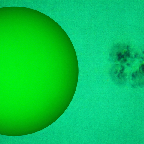 活動領域 4099：2025/05/29