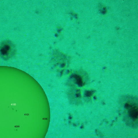 活動領域 4100：2025/06/02