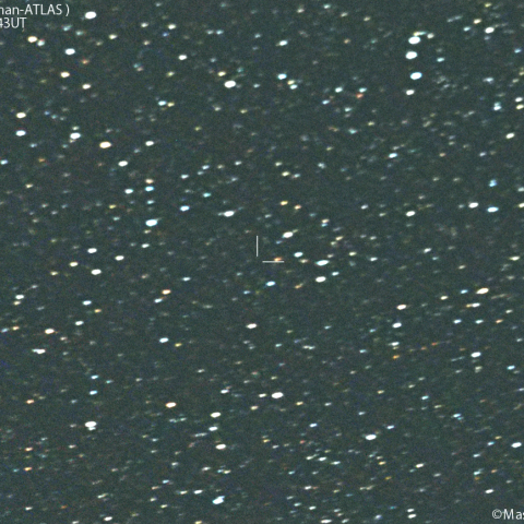 紫金山-アトラス彗星( C/2023A3 )：2025/06/06