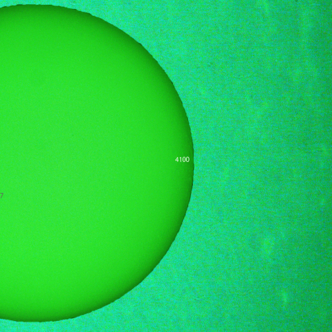 活動領域 4100：2025/06/07