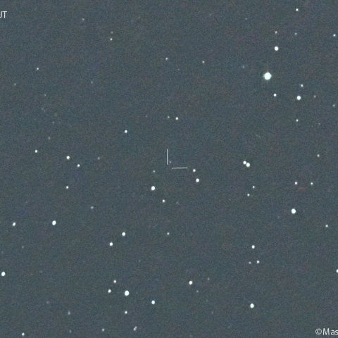 リニア彗星 ( 234P )の予報位置:2025/06/01