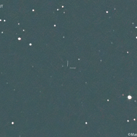 コワルスキー彗星 (391P)の予報位置:2025/06/05