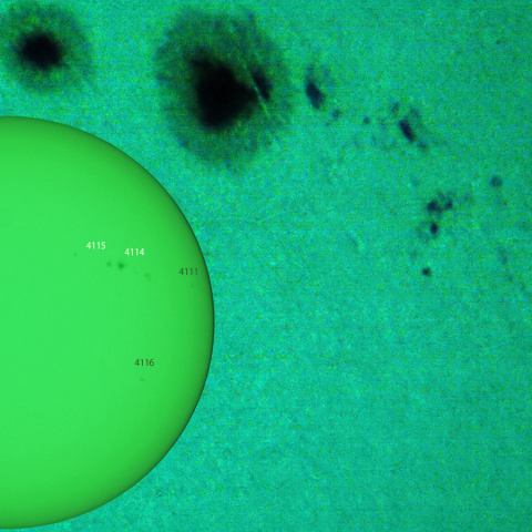 活動領域 4114,4115：2025/06/20
