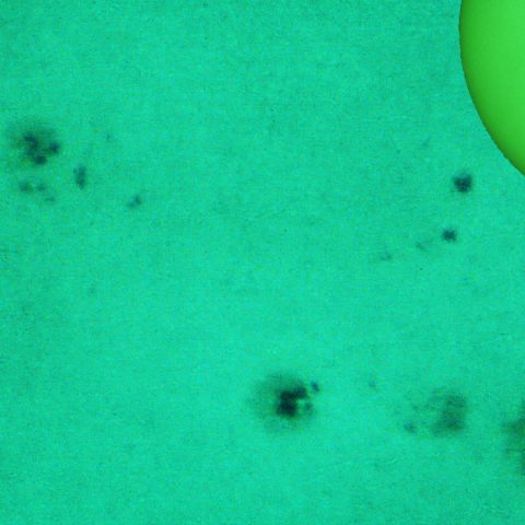 活動領域 4117,4118：2025/06/23