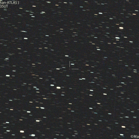 紫金山-アトラス彗星( C/2023A3 )：2025/07/01