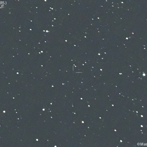 パンスターズ彗星 (C/2024G4)の予報位置：2025/07/01