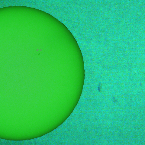 活動領域 4135：2025/07/10