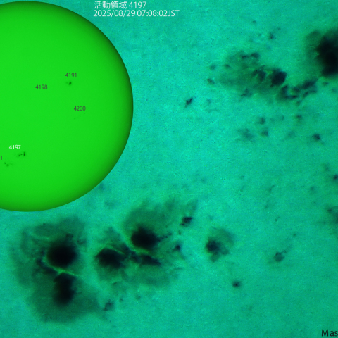 活動領域 4197：2025/08/29