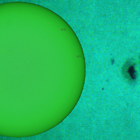 活動領域 4216：2025/09/14