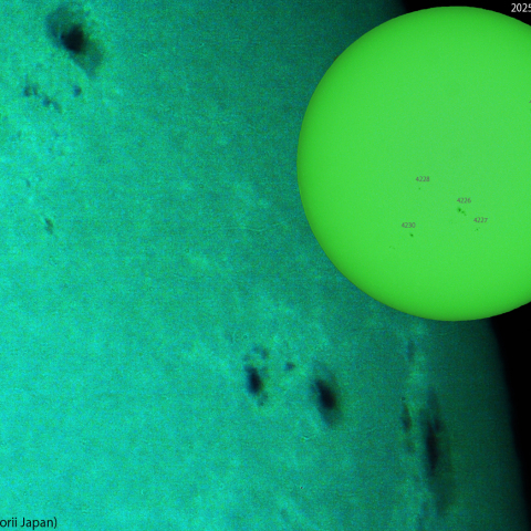 活動領域 4217,4224,4229：2025/09/26