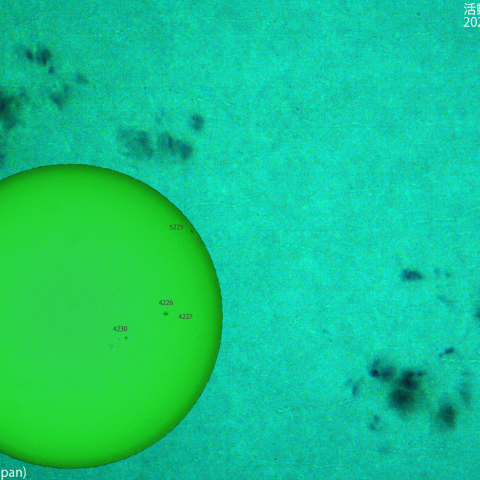 活動領域 4233,4236：2025/09/29