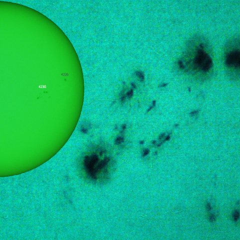 活動領域 4230,4238,4239：2025/09/30