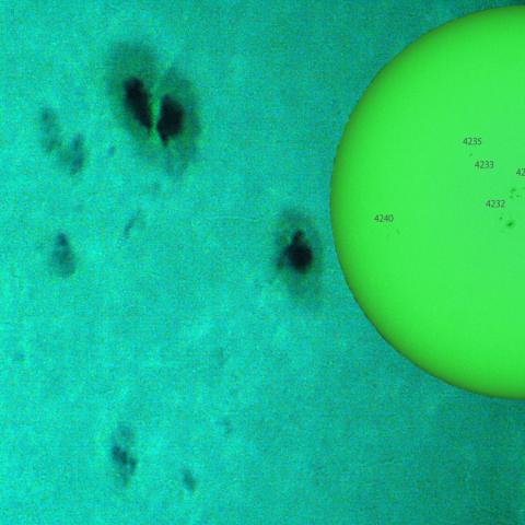 活動領域 4230,4238：2025/10/02