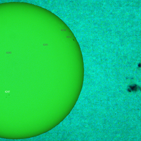 活動領域 4247：2025/10/08