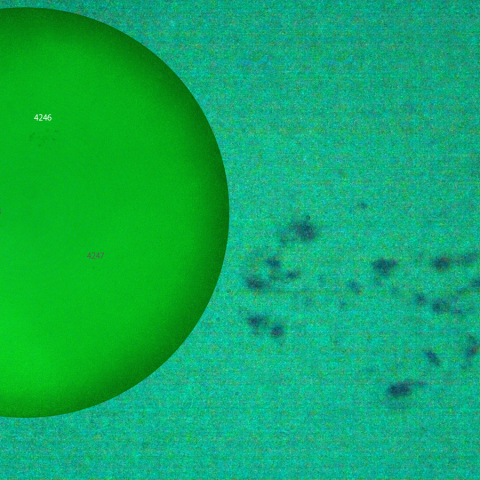 活動領域 4246：2025/10/13