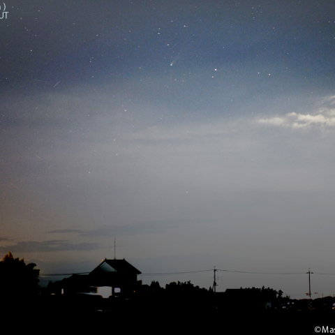 33mmで撮影したレモン彗星 (C/2025A6):2025/10/23