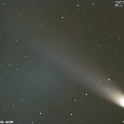 レモン彗星 (C/2025A6)：2025/11/02