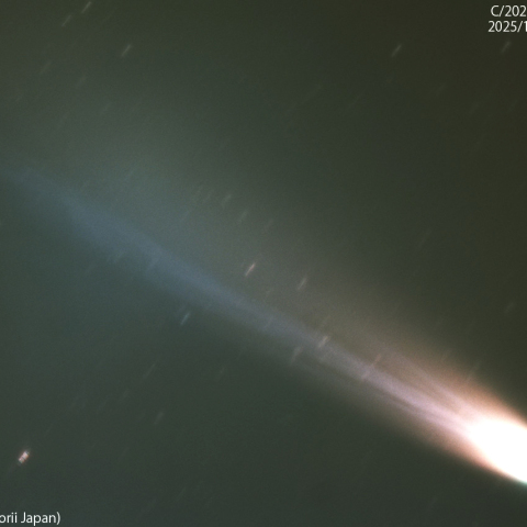 レモン彗星 (C/2025A6):2025/11/03