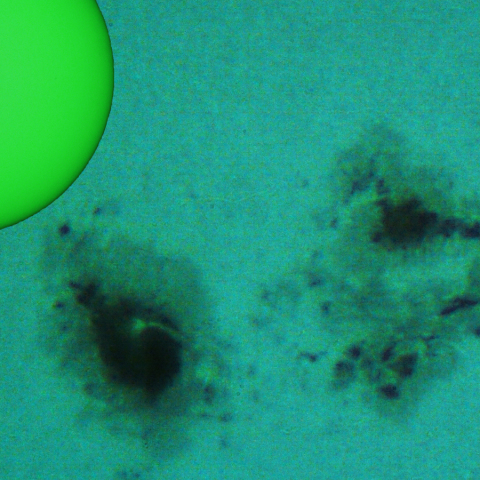 活動領域 4274:2025/11/08