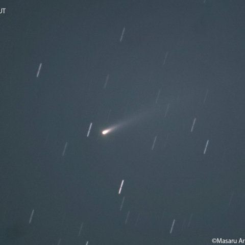 アトラス彗星 ( C/2025K1 ):2025/11/08