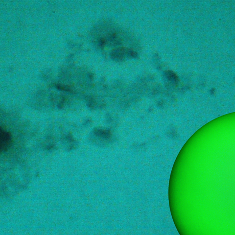 活動領域 4274：2025/11/11