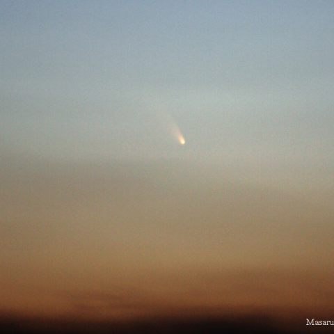 パンスターズ彗星20130312