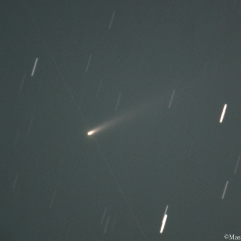 アトラス彗星 ( C/2025K1 ):2025/11/12