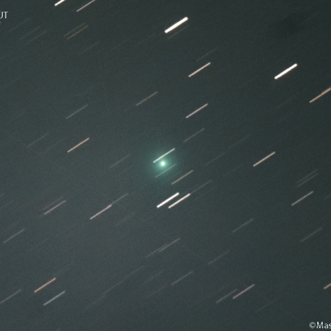 アトラス彗星 ( C/2025T1 ):2025/11/15