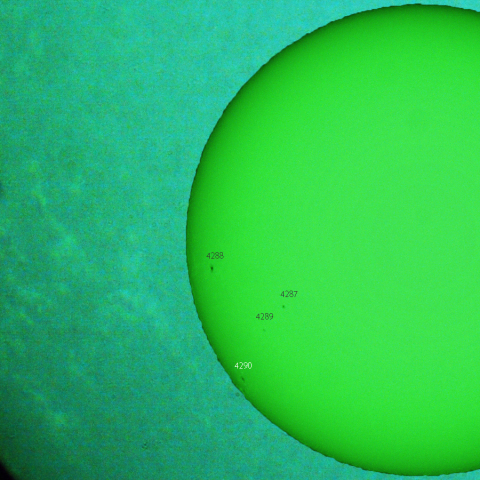 活動領域 4290：2025/11/22