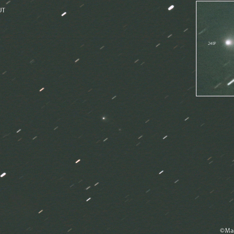 ニート彗星 (240P／240P-B)：2025/11/20