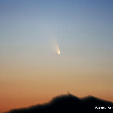 パンスターズ彗星20130314