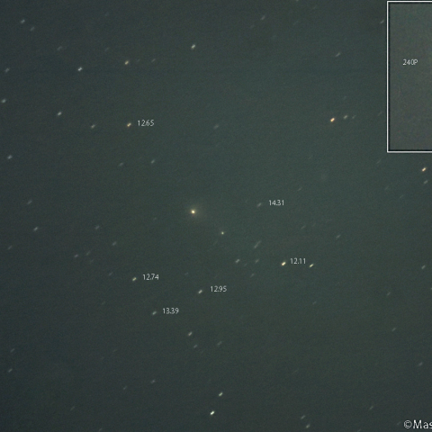 ニート彗星 (240P／240P-B)：2025/11/29