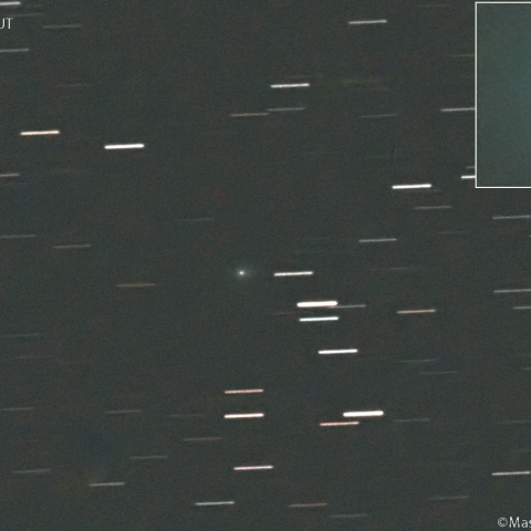 ショーマス彗星 ( 24P )：2025/11/30