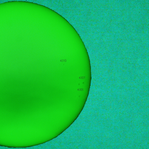 活動領域 4310：2025/12/17